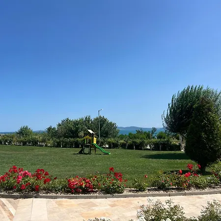 арт апартмент 2